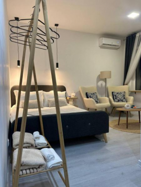 Pirotska Modern Room